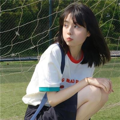 人狗对对碰